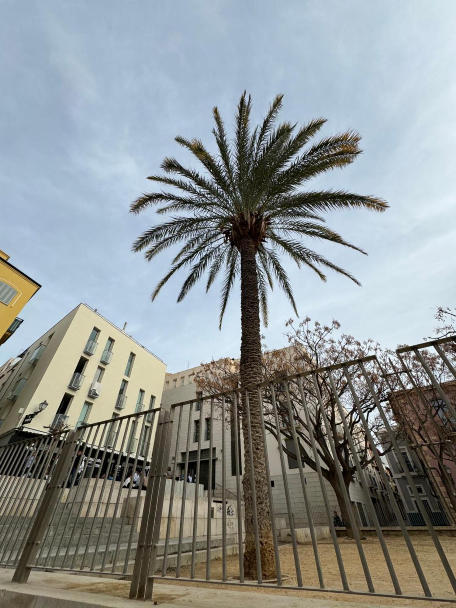 Nuevo Casco Antiguo, Playa Y Castillo Alicante Exteriér fotografie